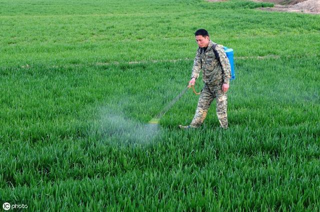 关于小麦上的锈病，你了解哪些知识？