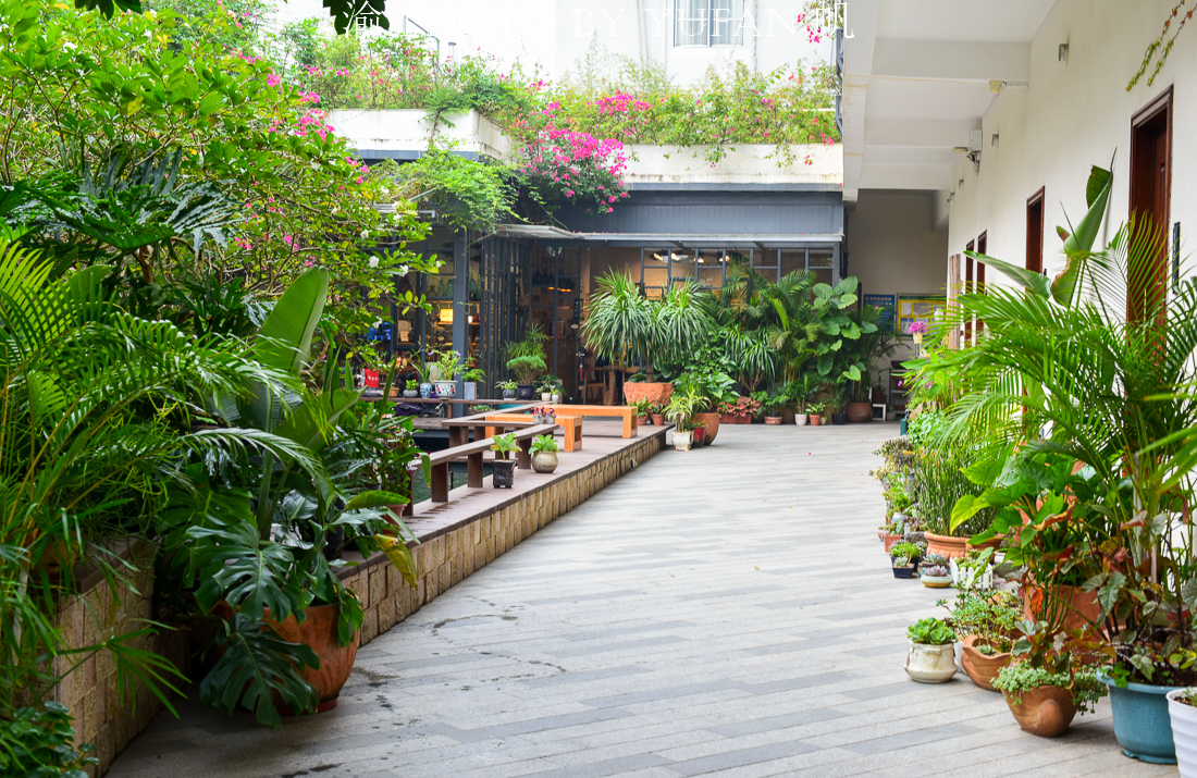 肇庆小众旅行,肇庆后花园美食