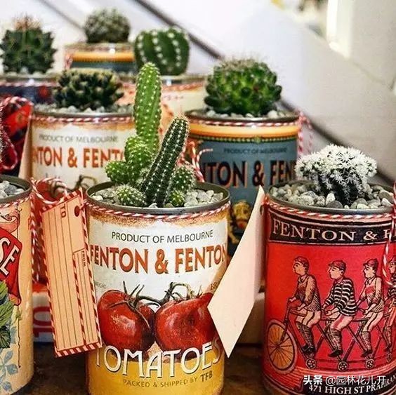 创意花盆简单制作方法,居家花盆