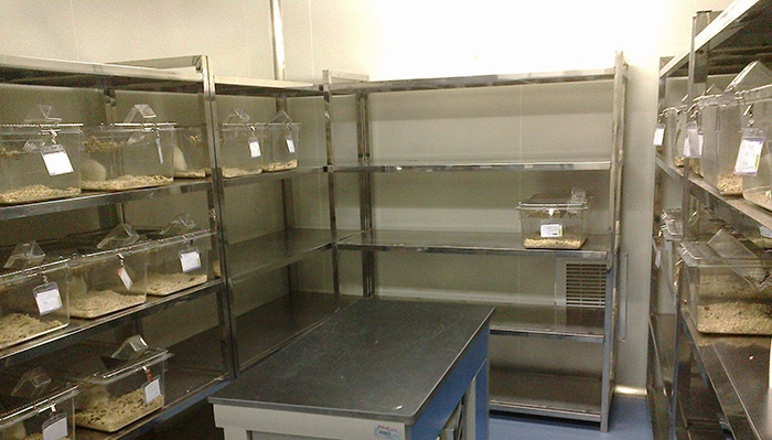 动物实验室设计规范与标准,动物实验室建设国家标准