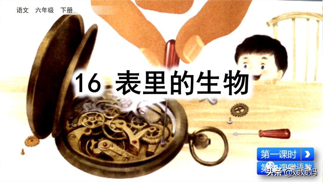 六年级下册语文表里的生物朗诵,六年级下册表里的生物小练笔400字