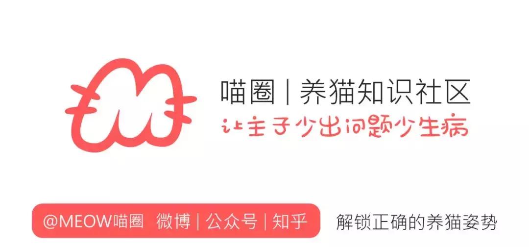 有没有办法让猫咪拉屎不臭,猫咪嘴臭是怎么回事