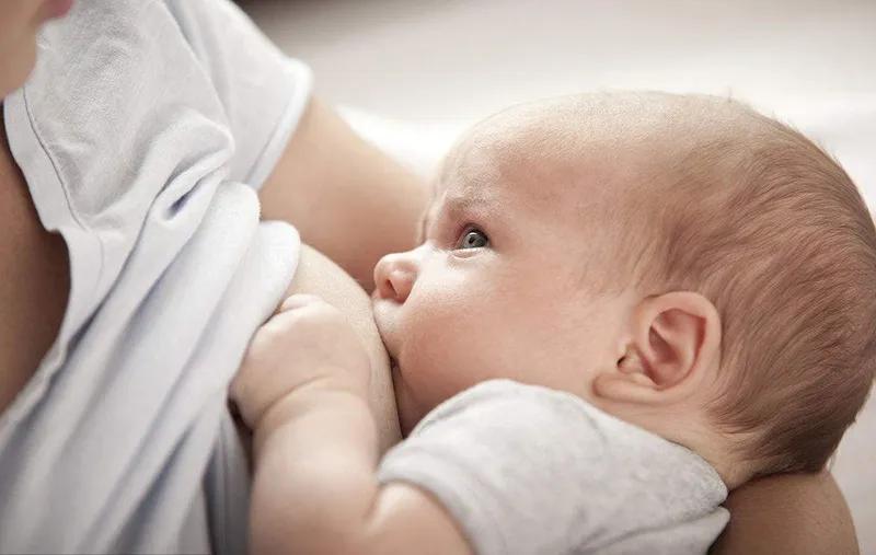 1897、能立多、旗帜、姆阿普、君乐宝、麦蔻、喜安智17款奶粉横评