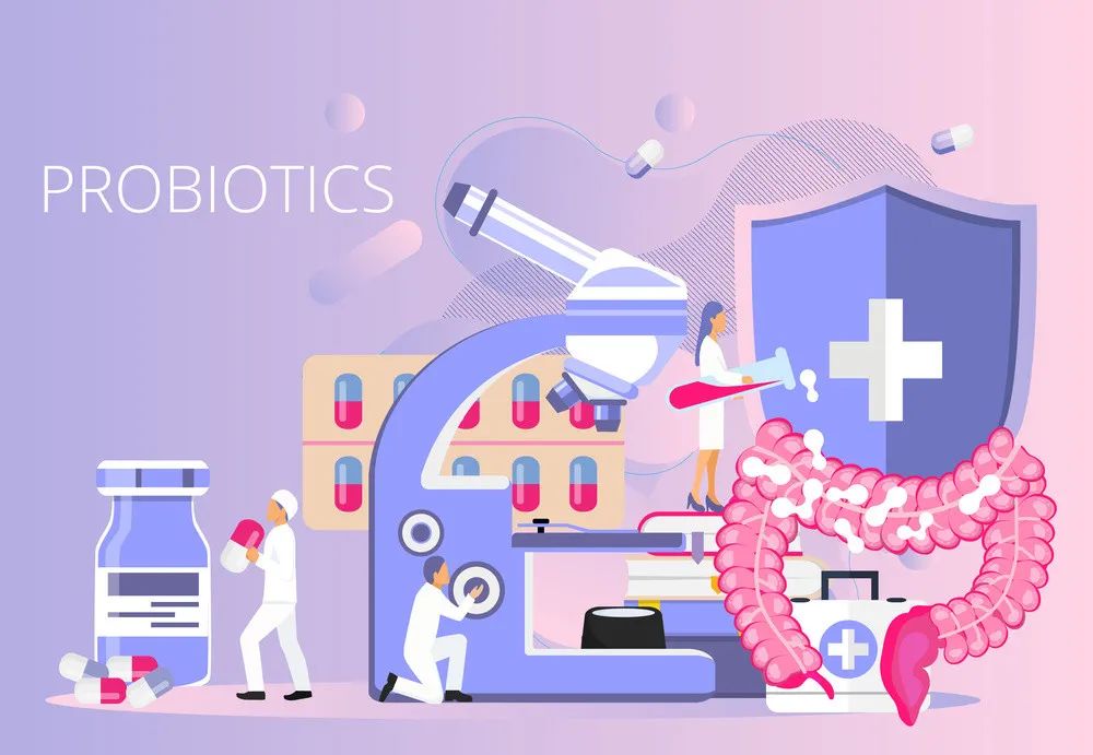 全球的益生菌菌种排名,全球益生菌测评