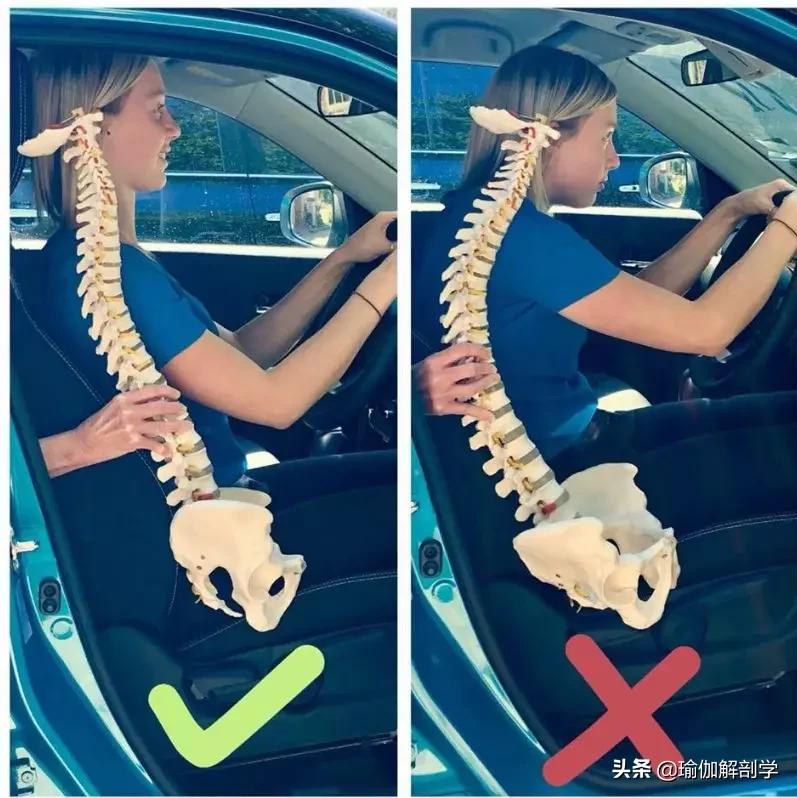 瑜伽怎么训练脊柱灵活性,瑜伽脊柱练习有哪些动作