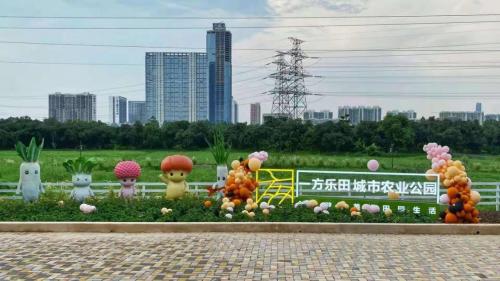 广州周末带娃好去处免费,广州遛娃的地方免费景点