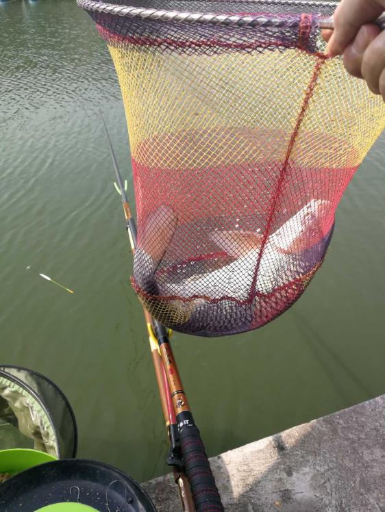 本汀金迦潘强硬弓测评,本汀金迦潘强弓鱼竿测评