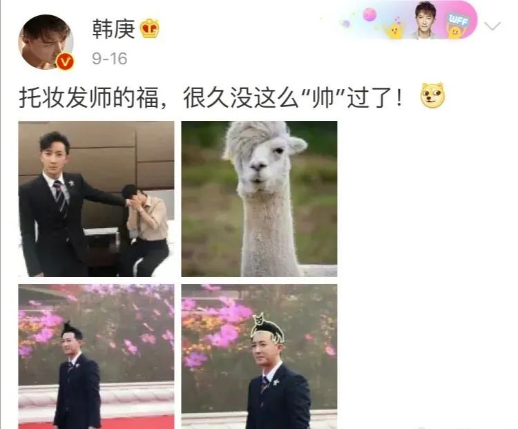 为了在大风中优雅行走，人类都做过哪些沙雕尝试？