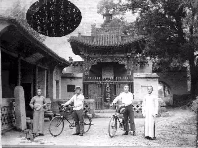 山西老鹳窝大槐树移民,大槐树上的老鹳窝