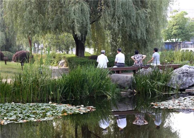 南京免费公园免费开放日一览表,南京免费公园景点推荐