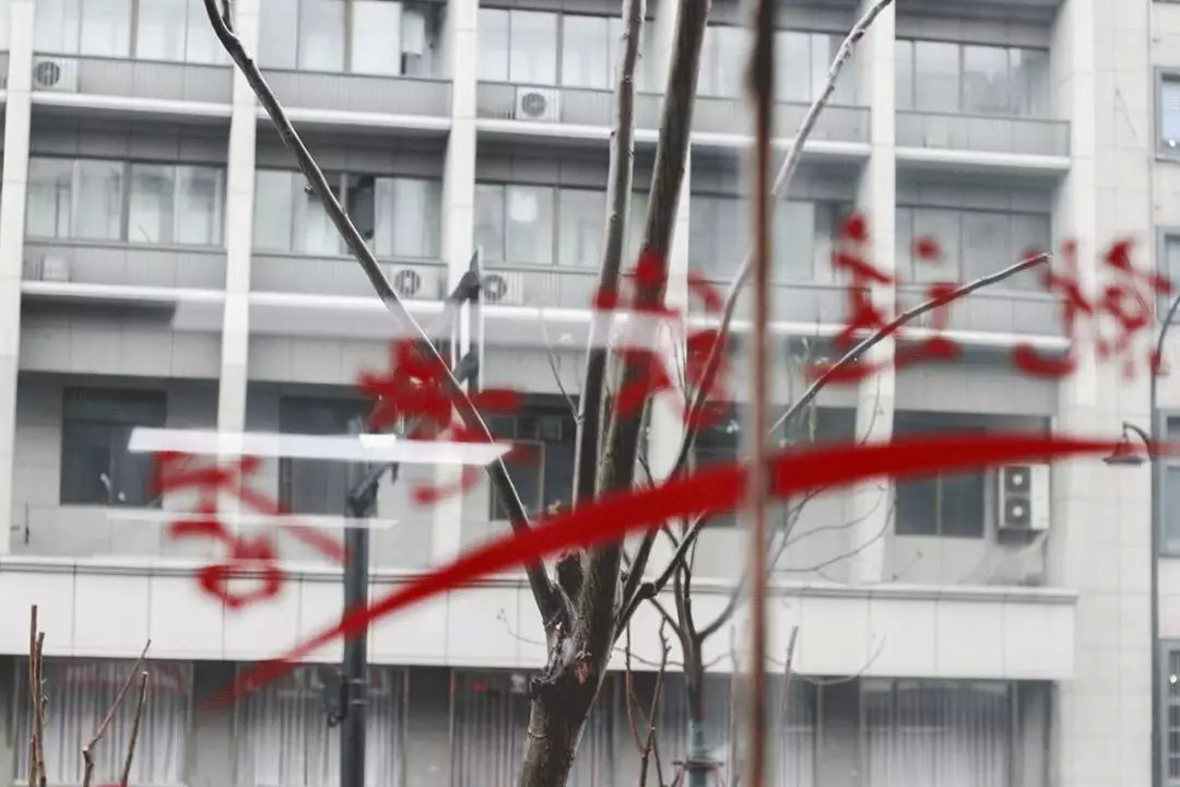 瑁规弧杈ｆ鐨勫崵楦＄埅,婊￠攨杈ｆ楦＄埅