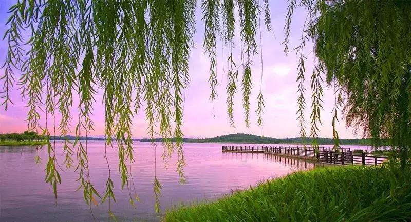 厦门观音山周边五星级酒店,观音山住宿推荐酒店