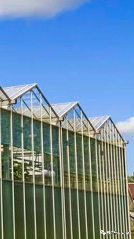 薄膜连栋温室大棚建造价格,连栋薄膜温室大棚结构哪里有