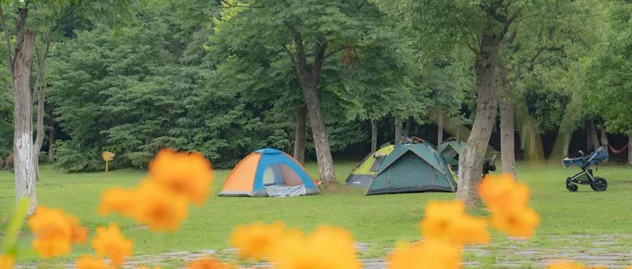 智慧体育综合体发展与创新,上海陆道动美