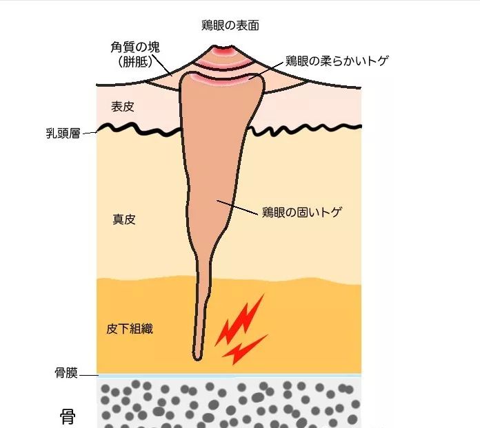 去法国必买10件东西,法国旅游必买的10件物品