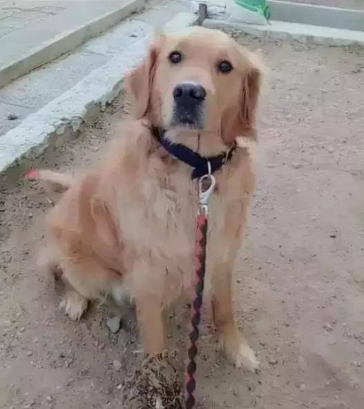 平时瓶盖都拧不开的小女生,平时拧不开瓶盖的女孩原视频