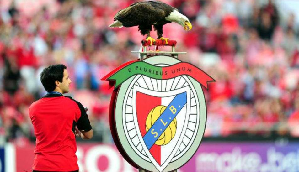 阿贾克斯和多特蒙德,多特蒙德对阿贾克斯