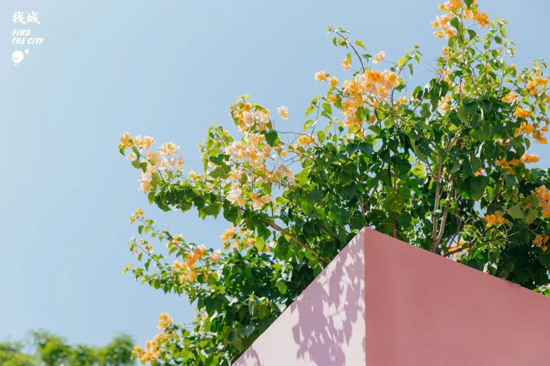 南宁人去隆安玩,南宁人去柳州玩