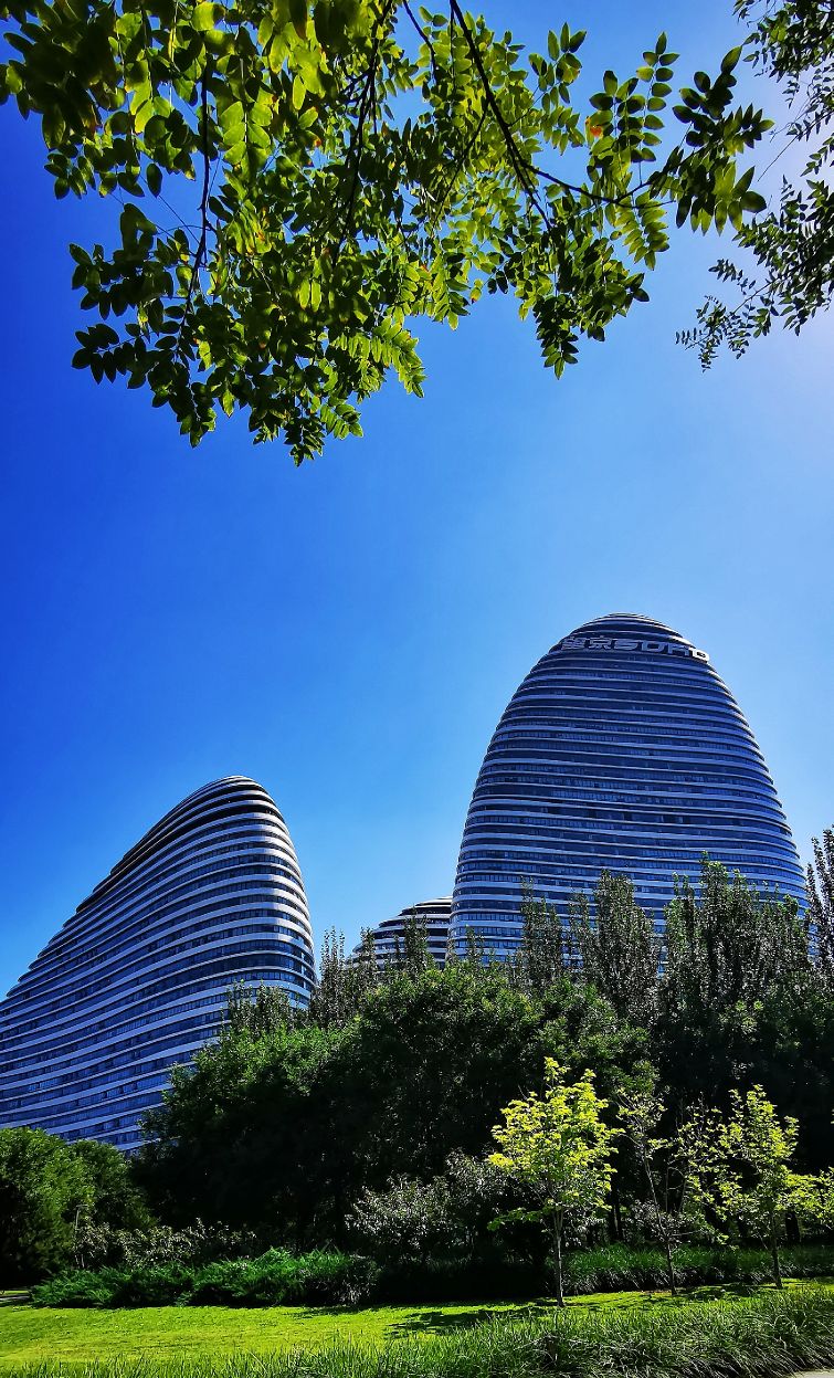 鍖椾含绉樺,鍖椾含绉樺涔嬫梾