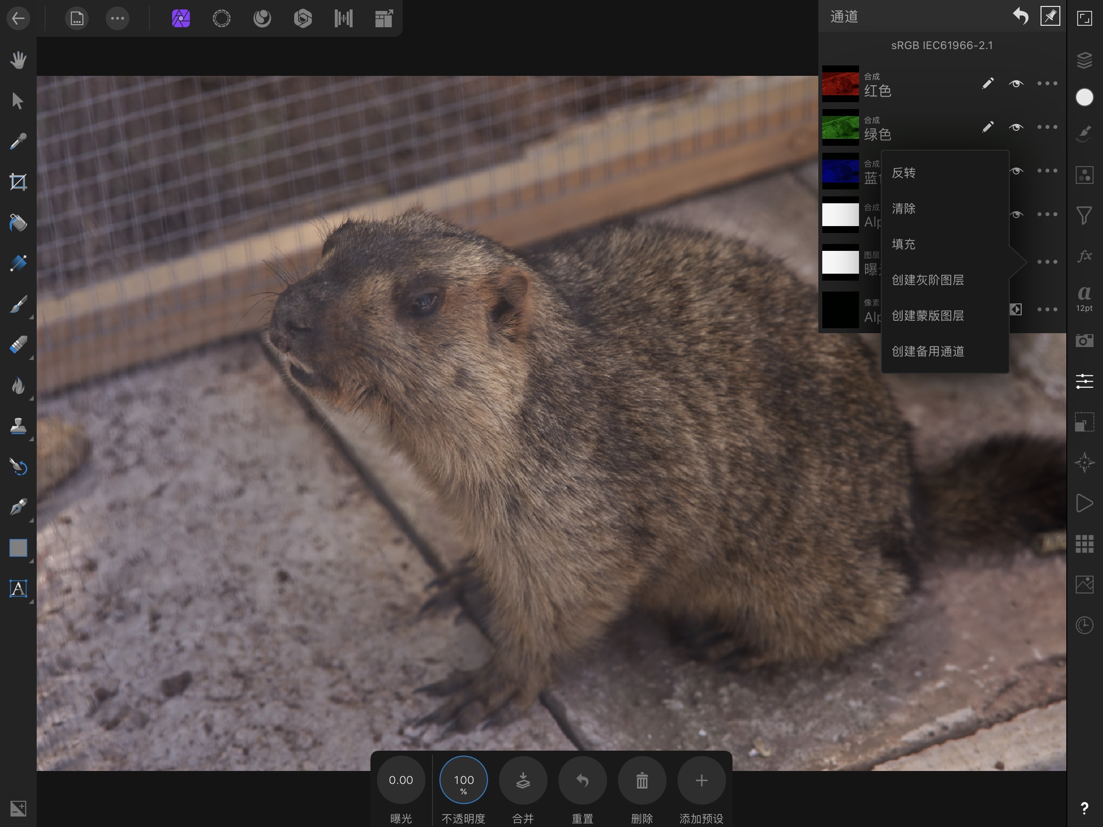 affinityphotoforipad蒙版,affinityphotoforipad