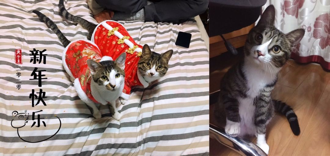 支付宝最新架构,支付宝软件神秘面纱