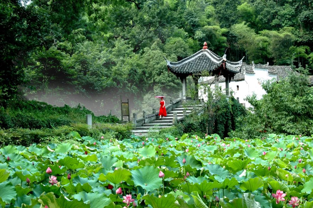 金华五一打卡景点推荐,金华最美村落在哪里