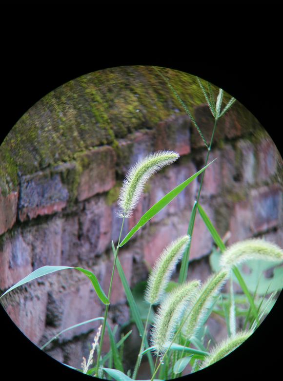 宾得1036望远镜怎么样,宾得ad1036wp好吗