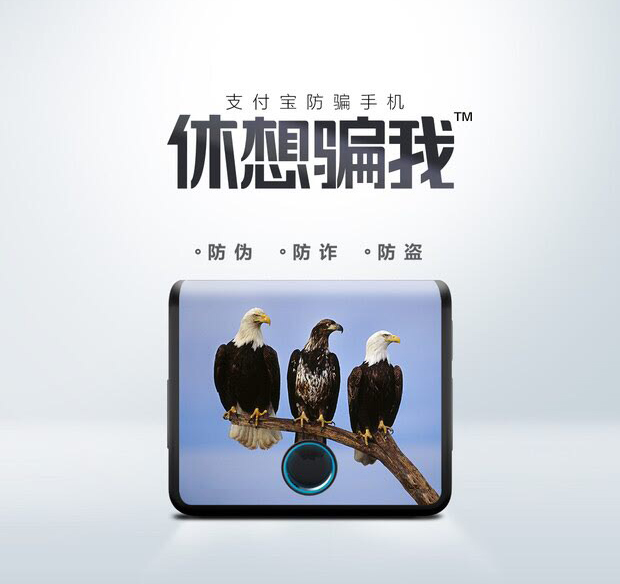 支付宝30天防骗保障,支付宝防骗有什么用