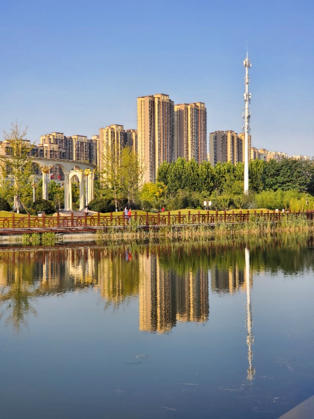 老憨妞视频,老憨妞的所有视频