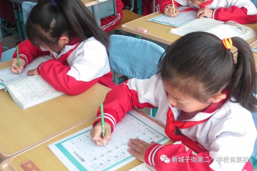 沈北区小学语文教研,小学语文课堂教学展示活动简报