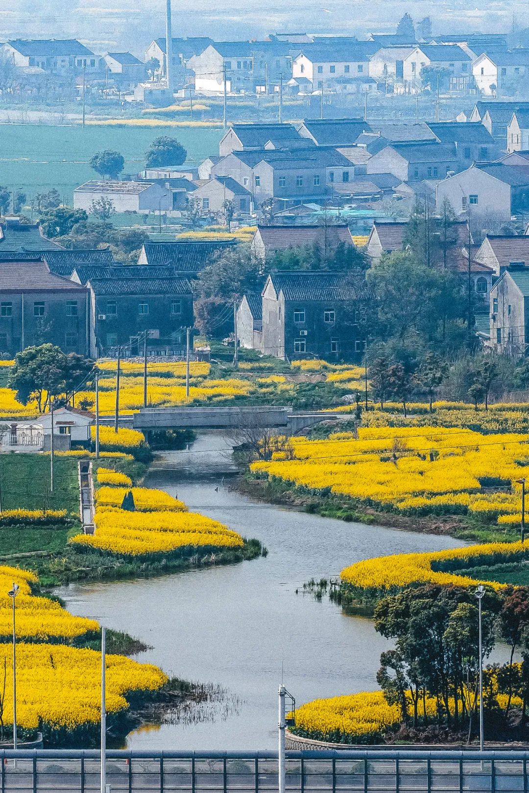 苏州精致生活,苏州人的精致都在一碗面里