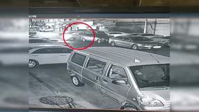 宠物狗路边玩耍被抱走后续,小狗在门口被人抱走了