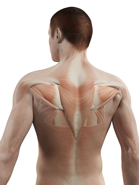 背影杀手怎么变好看,背影杀手怎么逆袭