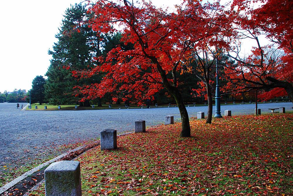 自以为是热心肠其实是缺心眼,自以为是多管闲事的人