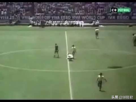 阿迪达斯与彪马现状,为什么说阿迪达斯和彪马是一家