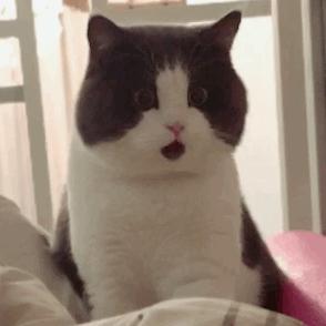 精致餐具带给您更精致的生活,把它们带回家完整版