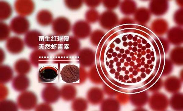 用了十年的美妆面膜,用了十年大牌护肤品的你