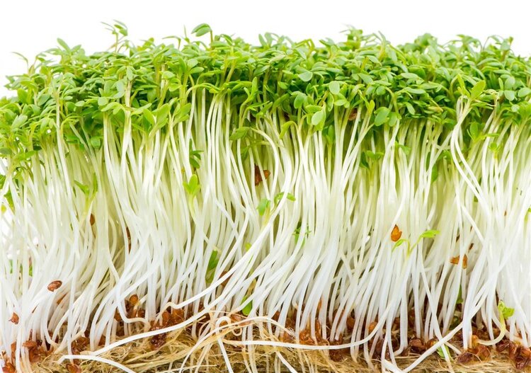 洗蔬菜水果时，如何去掉农药残留？4招不让家人继续“服毒”