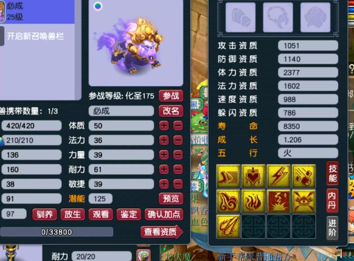 梦幻西游买储备金多的号,梦幻西游大量储备金的号