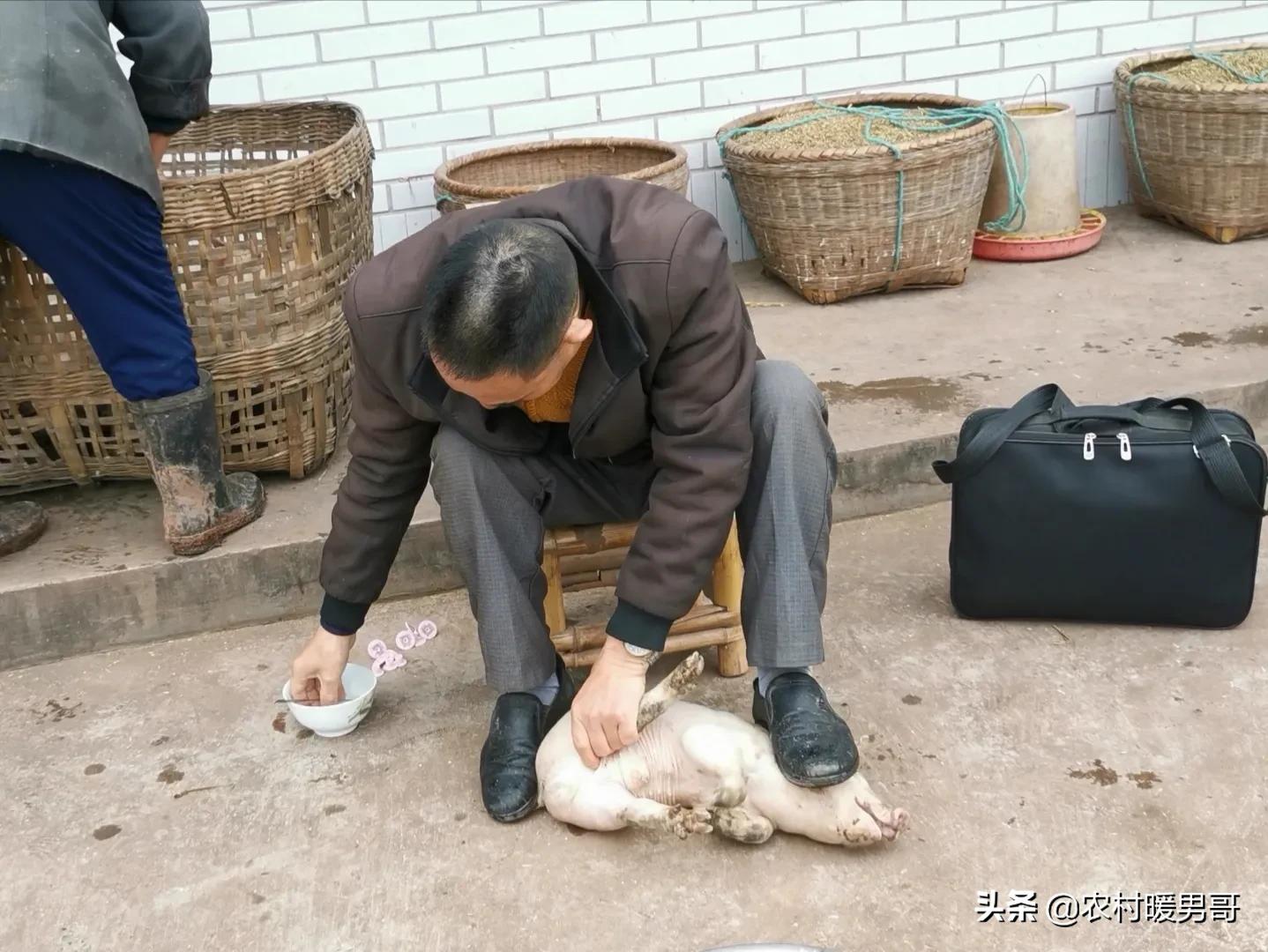 带大家一起走进乡村生活,农村生活带你体验