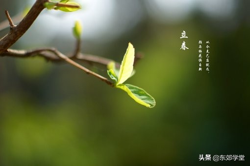 双闰春年是什么,最近几年哪年闰年哪年是双春年