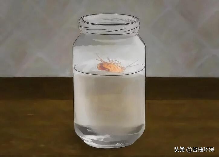 家里蟑螂太多怎么消灭小妙招,家里蟑螂怎么消灭最彻底的小妙招