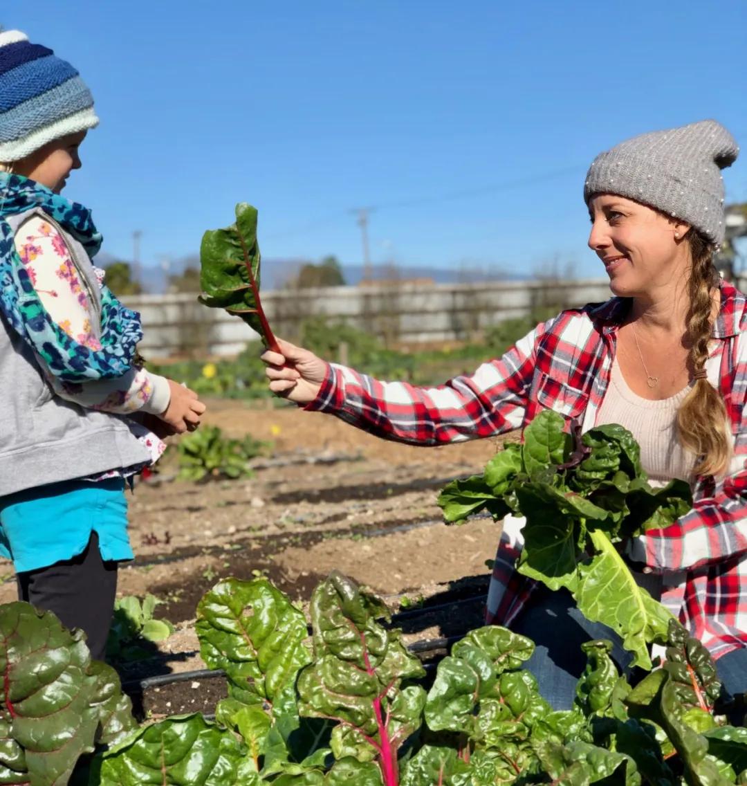 农庄餐饮怎么经营赚钱,怎么经营农家乐卖菜生意