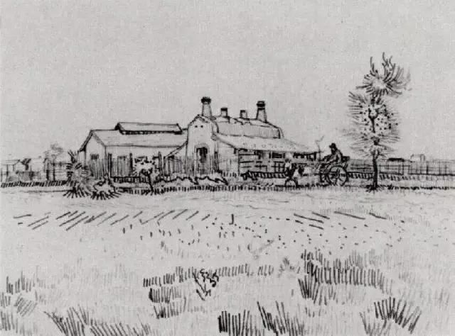 梵高是怎么画自画像的,梵高是怎样画静物的