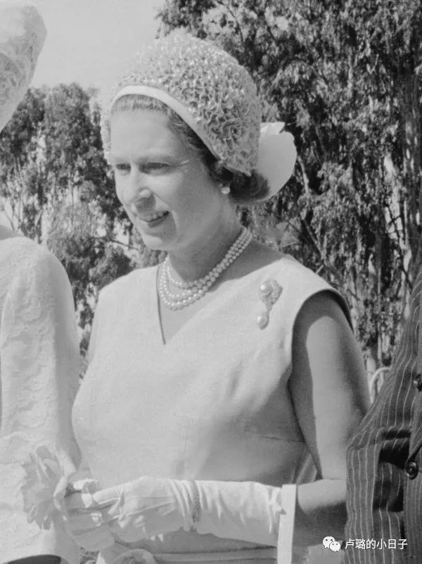 英国女王胸针高档轻奢,女王最贵胸针排行榜