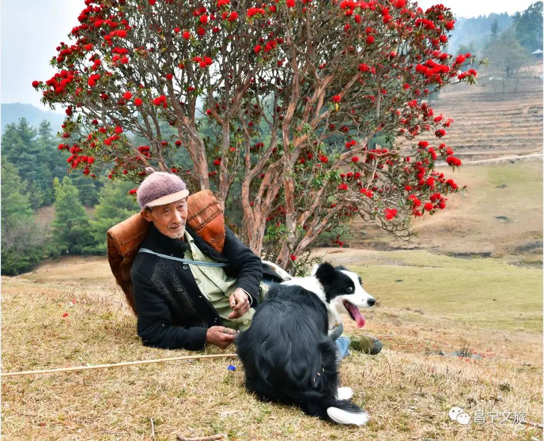 澜沧江梅里大峡谷景观,澜沧江大峡谷美景