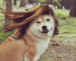 三招防脱告别秃头,防脱小绿瓶拯救你的发际线