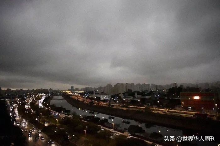 亚马逊雨林救动物,地球之肺亚马逊雨林