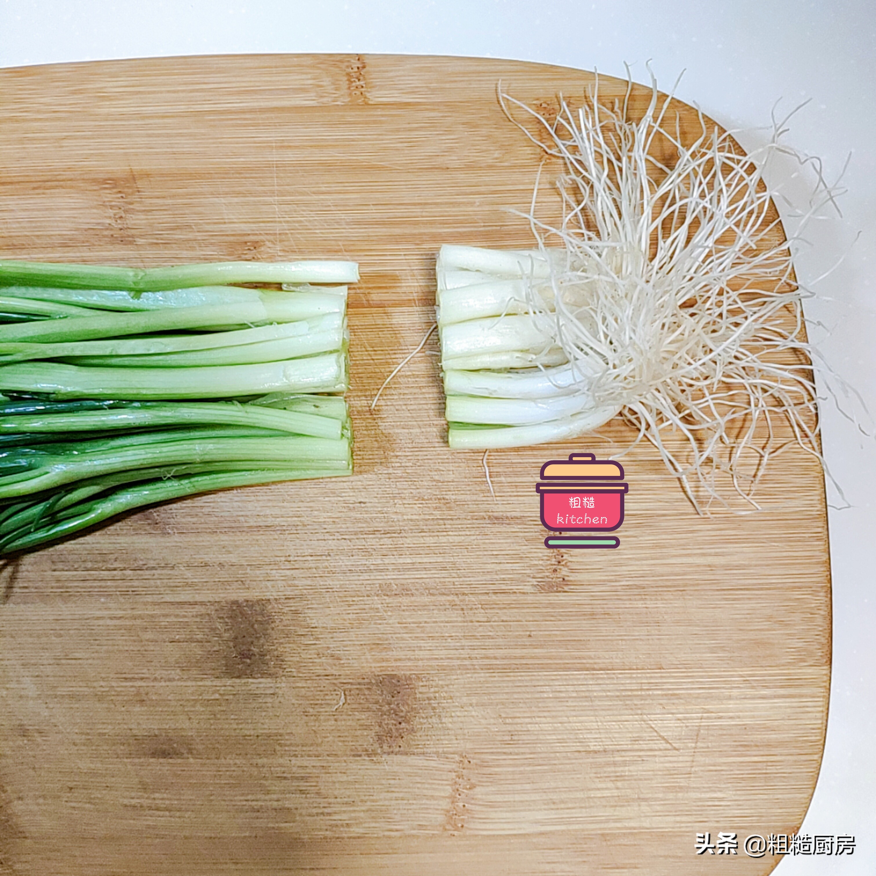 家里怎么一年四季种植小葱,一年四季在家都能吃上小葱自己种