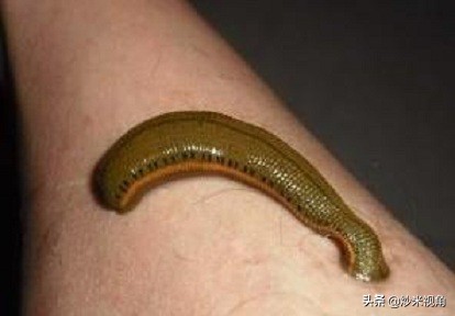 理发店的招牌灯的来历,理发店门前的三色转灯由来